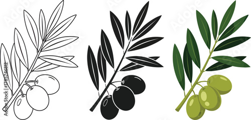 Olive branch vector illustration set, olive tree branch, olive leaves eps silhouette