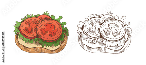 Hand drawn vintage sketch of tomato and lettuce sandwich with color and monochrome versions, isolated vector illustration