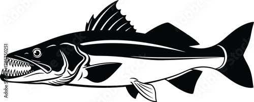 Walleye fish vector illustration predatory fish with sharp teeth design eps silhouette