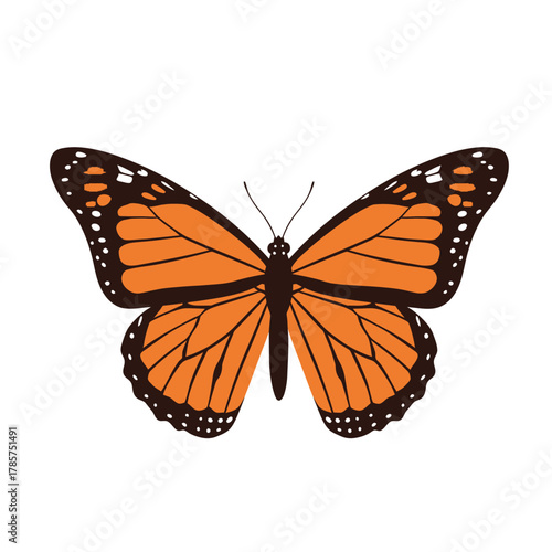 Stylized Monarch Butterfly Isolated Vector Illustration