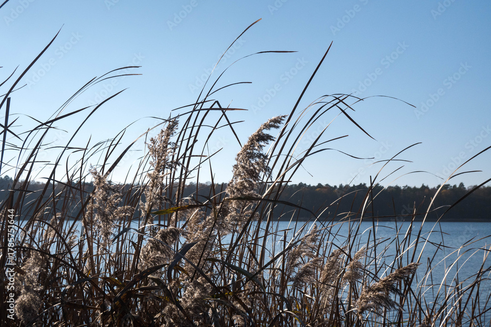 Obraz premium Autumn landscape, walking along the river bank. 