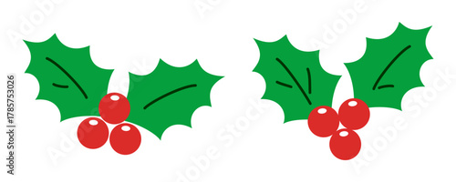 Holly berry leaves, Chritmas decorations wirh holly berries