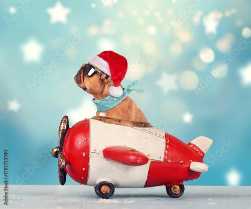 cute santa claus dog is riding a wooden toy craft