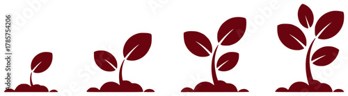 Four Stages of Plant Growth Seedling to Mature Plant Iconography