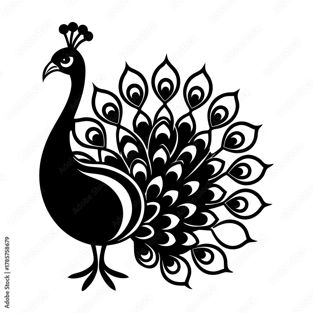 Fototapeta premium Peacock Silhouette Vector