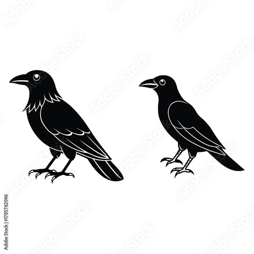 Simple two-bird silhouette vector in black — symbol of companionship and unity.