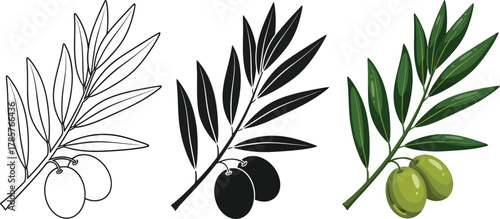 Olive branch vector illustration set botanical design for print art eps silhouette