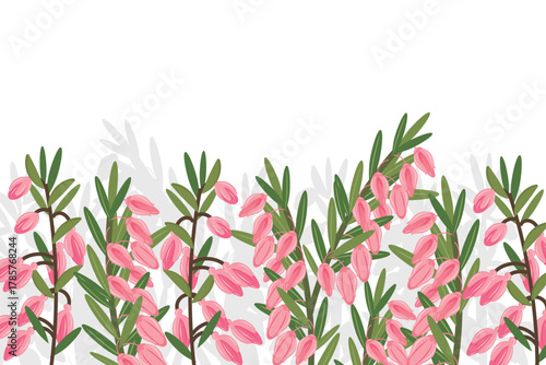 
Vector border with hand drawn heather twigs or erica twig flowers. Beautiful floral design elements.
