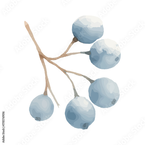 Snow-Covered Blueberry Branch for Winter and Holiday Decorations