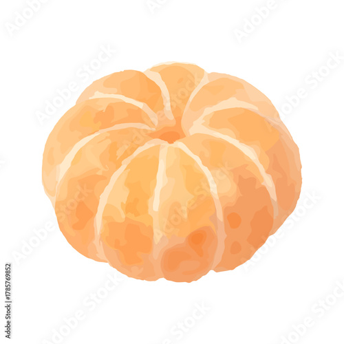 Fresh Tangerine for Winter and Holiday Decor