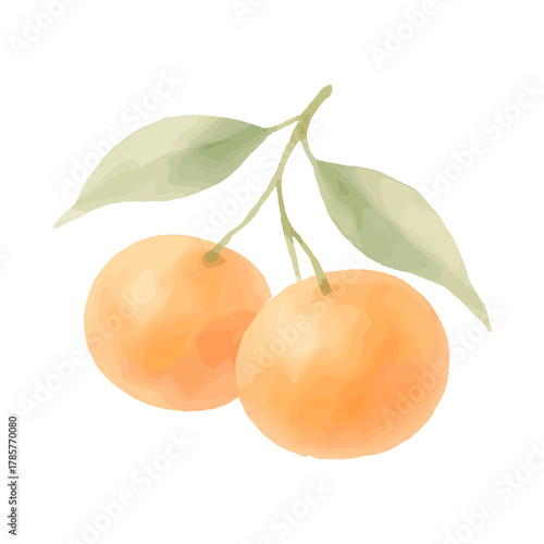 Tangerines with Leaves for Winter and Holiday Decor