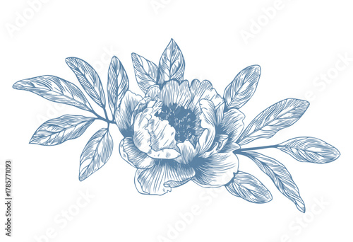 Botanical blue wedding flower on white background. Hand drawn floral, flower and leaf branch in toile de jouy style. Line art for wedding, monogram, invitation, greeting, logo, birthday cards