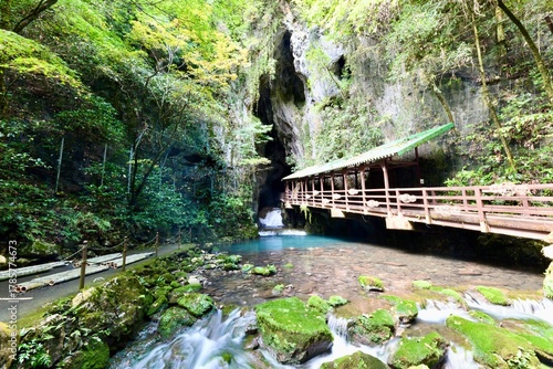 山口の観光地の秋芳洞と秋吉台