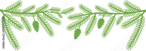 Green fir branches with cones border for nature or seasonal design. Vector