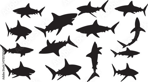 Shark silhouette set