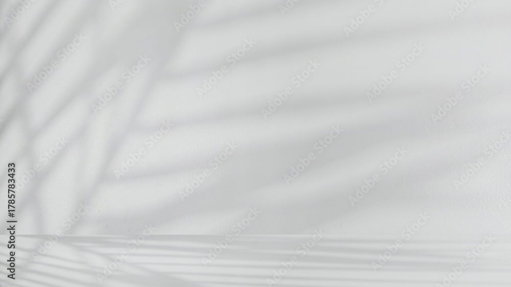 Obraz premium Minimalist clean and empty studio room featuring uniform soft light gray and floor. Space bathed in natural bright light which creates subtle diffused shadows palm leaves across back wall and floor