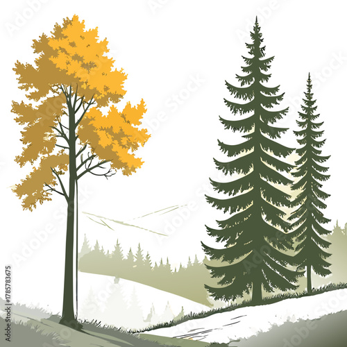 Autumnal landscape featuring a deciduous tree and evergreen trees on a sloping hillside scene