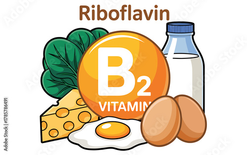Riboflavin vitamin b2 food sources with eggs milk spinach cheese