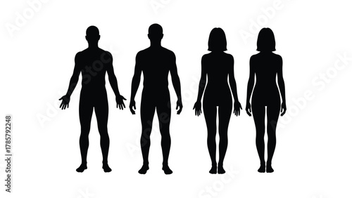 Human Body Silhouettes Vector Set. Male and Female Figures Standing in Front View for Medical, Fitness, or Anatomy Design.
