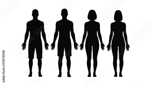 Human Body Silhouettes Vector Set. Male and Female Full Body Outline Illustration for Anatomy, Fitness, or Conceptual Design