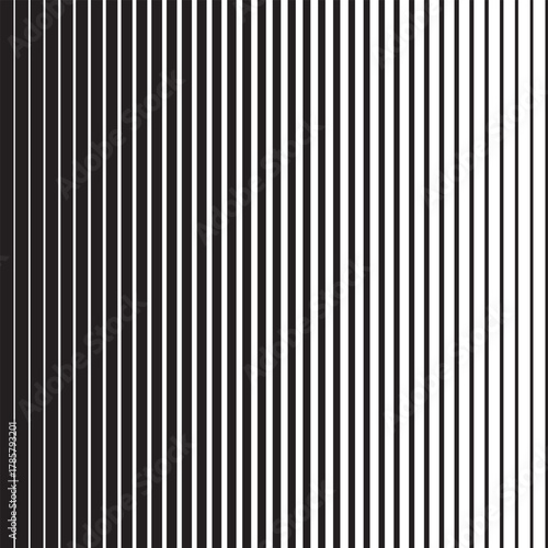 Vertical halftone gradient lines vector background. Smooth technical uniform grid transition. Black and white parallel lines background for wallpaper and business cards. Orderly receding lines.