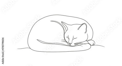 Minimalist line drawing of a peaceful sleeping cat, perfect for modern design and calming home decor