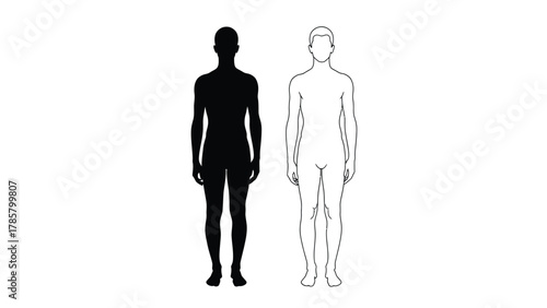 Male Human Body Outline and Silhouette Front View Vector Illustration for Anatomy and Design Templates