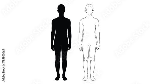 Male Body Outline and Silhouette Template Vector Illustration
