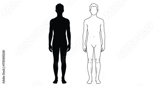 Male Body Template Vector Illustration: Silhouette and Outline Figures for Anatomy and Design