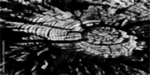 Grunge halftone gradient background. Faded grit noise texture. White and black sandy wallpaper. Retro pixelated backdrop. Anime or manga style comic overlay