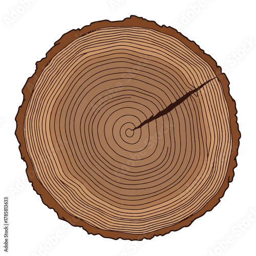 A detailed vector illustration of a tree trunk cross-section showing annual growth rings and textured bark on a white background