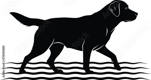 Black labrador retriever walking through water silhouette vector image eps