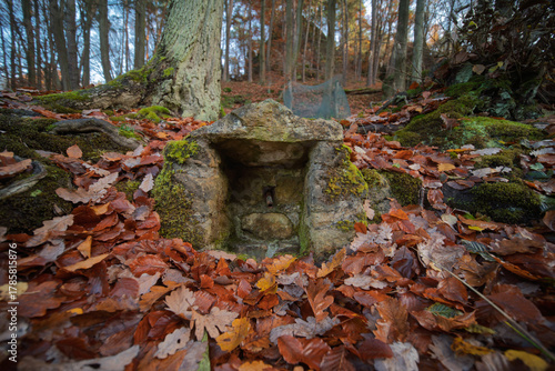 Dry old natural water spring on a day in autumn, closeup, with shallow depth of field. Near Hvězda by Blíževedly, Czechia, alcove.