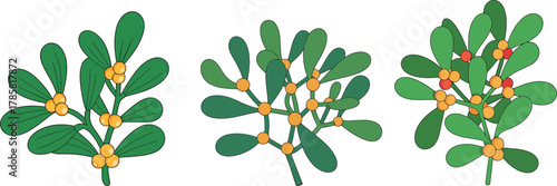 Set of Mistletoe Sprigs with Berries Christmas Holiday Decoration