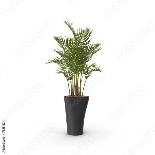 A tall green potted palm plant with lush foliage in a dark gray vase