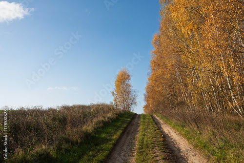 Country road in autumn,with yellow trees on the right side. Czechia.