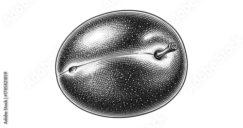 Detailed hand-drawn engraving of an apple