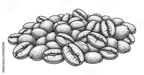 Engraved coffee beans pile in vintage style