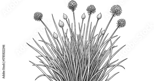 Intricate black and white botanical floral arrangement in line art style