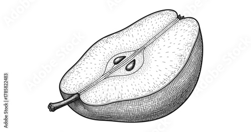 Detailed hand drawn illustration of a halved pear with seeds