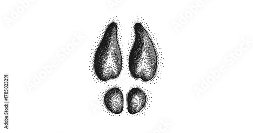 Hand drawn animal hoof print sketch in black and white