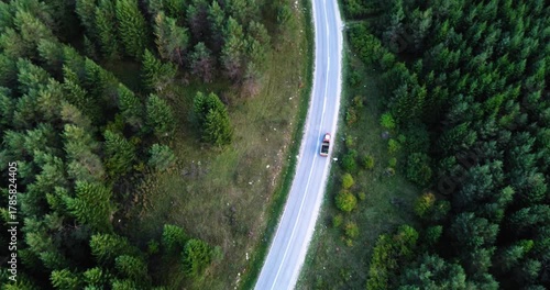 Aerial view of cars driving on a forest road