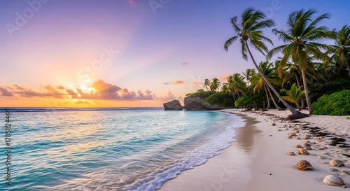 Fototapeta Naklejka Na Ścianę i Meble -  Tropical beach with palm trees and seashells at sunset.