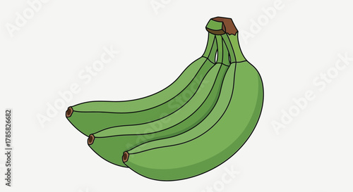A bunch of unripe green bananas hanging together, depicted in a simple, clean illustration style.