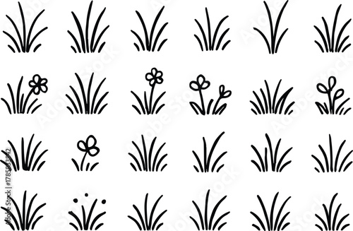 Collection of hand drawn grass tufts and small wildflowers in a silhouette style isolated on transparent background