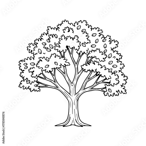 Hand-drawn black and white tree illustration with a full canopy of leaves and a strong trunk, a simple vector line art for coloring or design