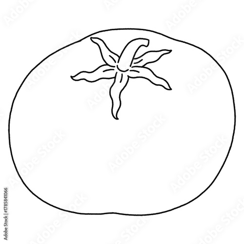 Cute Tomato Cartoon - Outline