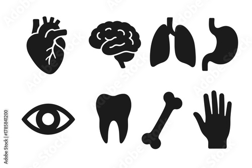 Set of black medical icons representing human body organs and parts