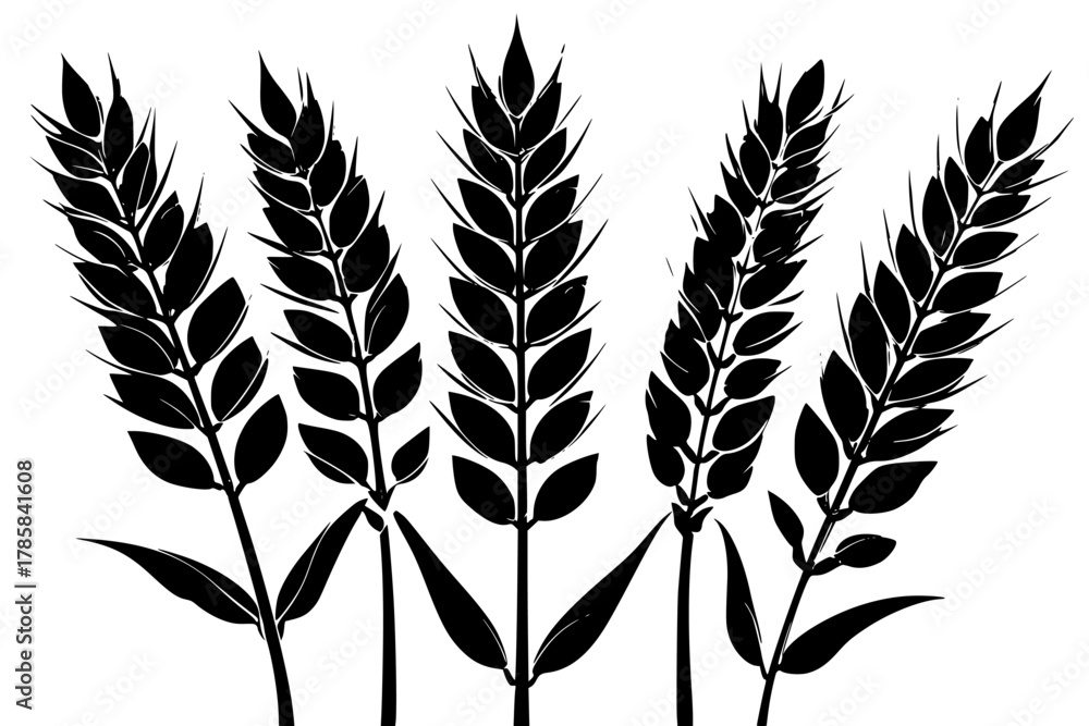 Fototapeta premium Elegant Silhouette Wheat | Clean, isolated vector art for creative projects.