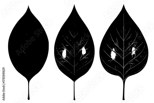 Elegant Elliptical Leaf Shapes Monochrome | Clean, isolated vector art for creative projects.